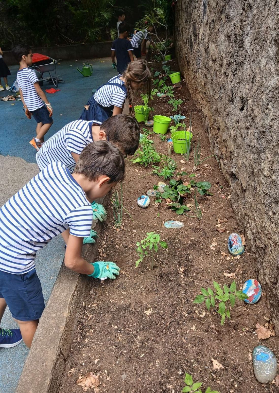 Cette photo Les mains vertes 3.jpg, a été réduite de 1.4 % le Mercredi 03 Décembre 2025 à 09:12 par Emjysoft Photo Réducteur v6.0 à télécharger sur https://www.emjysoft.com/